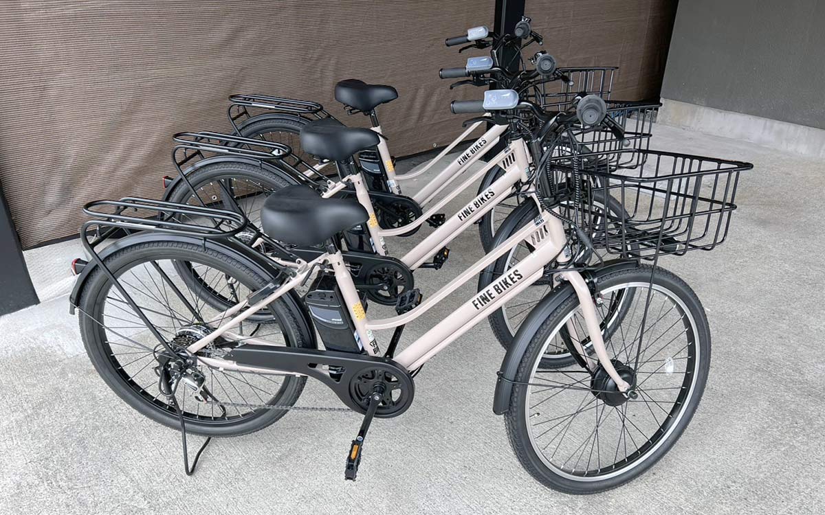rental-bike1